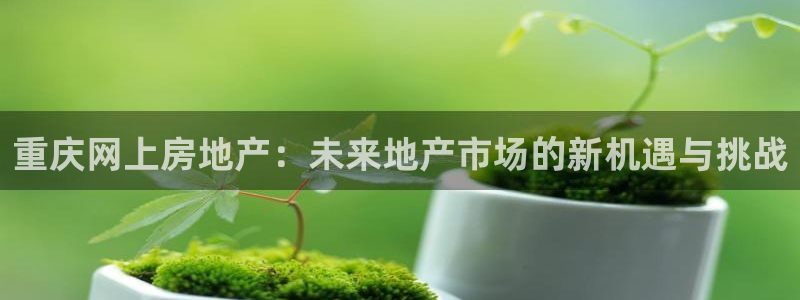 摩登天空7：重庆网上房地产：未来地产市场的新机遇与挑战