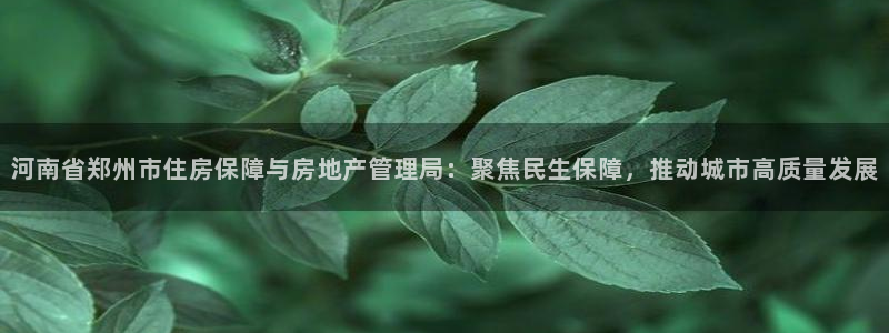 摩登招商7佳22650：河南省郑州市住房保障与房地产管理局：