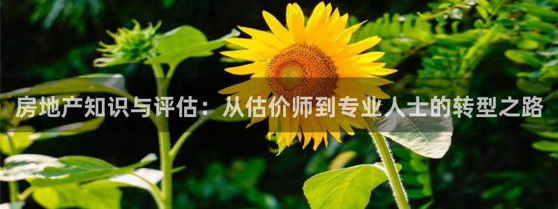 摩登7下载地址：房地产知识与评估：从估价师到专业人士的转型之