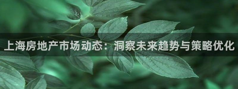 摩登4右7O667：上海房地产市场动态：洞察未来趋势与策略优