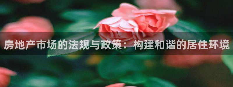 摩登7楼：房地产市场的法规与政策：构建和谐的居住环境