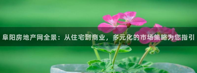 摩登3月7O667：阜阳房地产网全景：从住宅到商业，多元化的