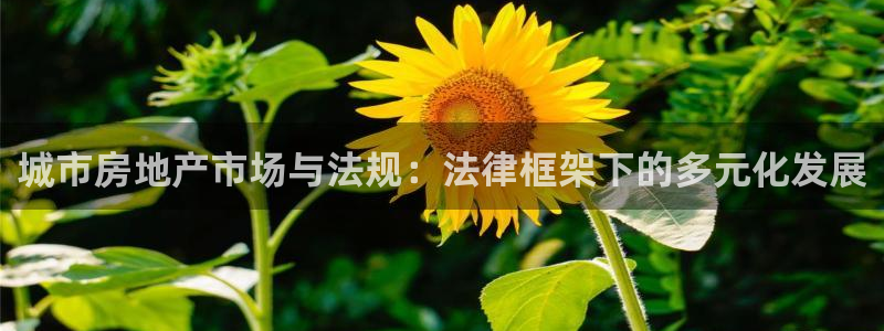 摩登平台除7O777：城市房地产市场与法规：法律框架下的多元