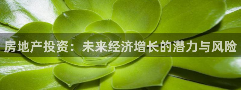 摩登7右3299O7：房地产投资：未来经济增长的潜力与风险