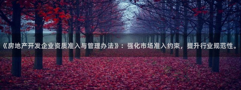 摩登7关：《房地产开发企业资质准入与管理办法》：强化市场准入