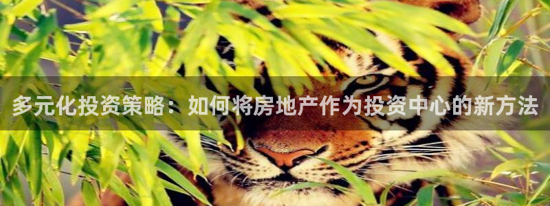 摩登7股东：多元化投资策略：如何将房地产作为投资中心的新方法