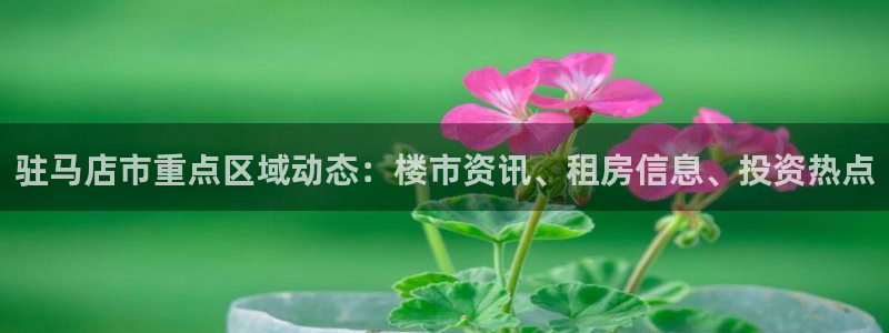 摩登7点：驻马店市重点区域动态：楼市资讯、租房信息、投资热点