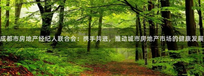 摩登7登录博333OO：成都市房地产经纪人联合会：携手共进，