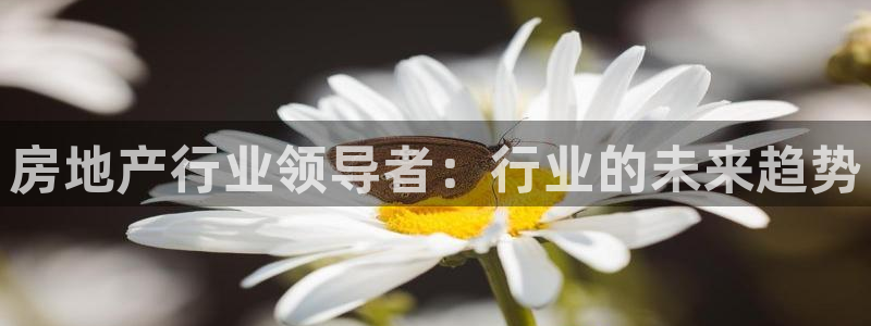 摩登7招商