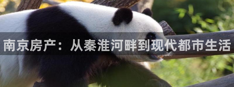摩登7彩票平台登陆总代：南京房产：从秦淮河畔到现代都市生活