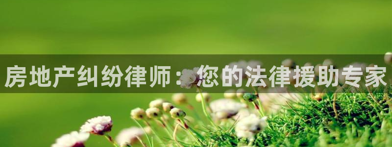 摩登7右