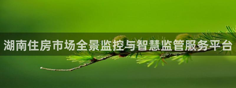 摩登7平台注册：湖南住房市场全景监控与智慧监管服务平台