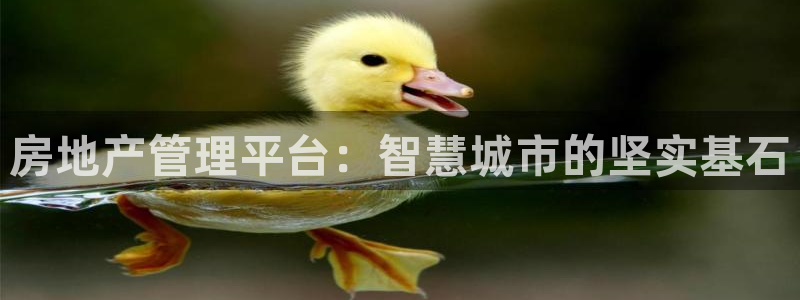 摩登7招商382223：房地产管理平台：智慧城市的坚实基石
