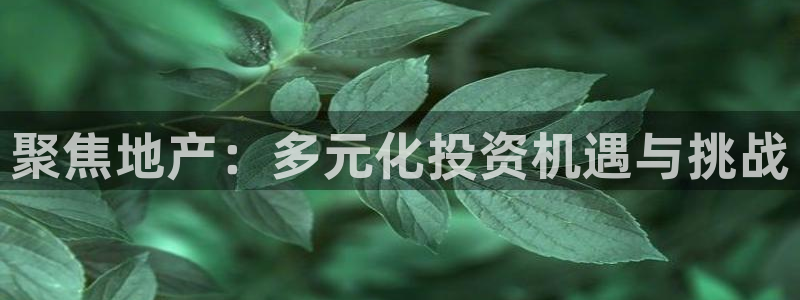 摩登精品7口碑极限：聚焦地产：多元化投资机遇与挑战
