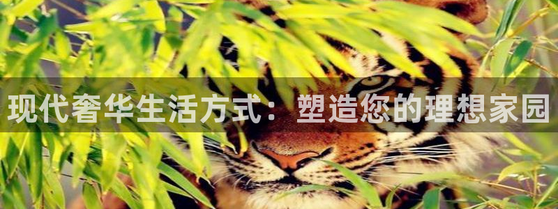 摩登4天7O667：现代奢华生活方式：塑造您的理想家园