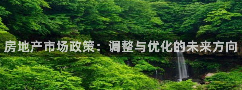 摩登7登录平台注册：房地产市场政策：调整与优化的未来方向