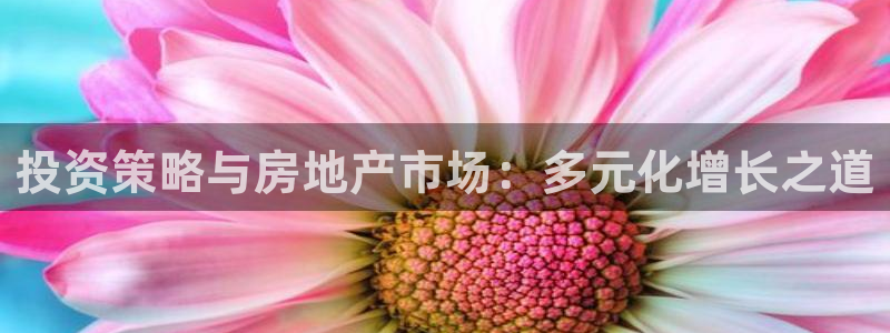 摩登3来找7O667：投资策略与房地产市场：多元化增长之道