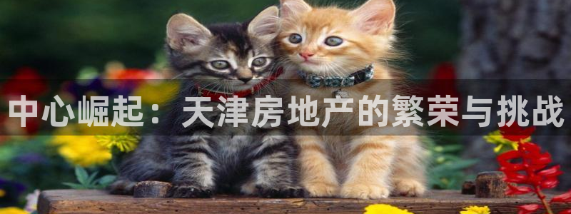 猎杰集团摩登7：中心崛起：天津房地产的繁荣与挑战